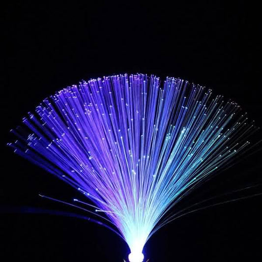 Multicolor LED Fiber Optic Lamp