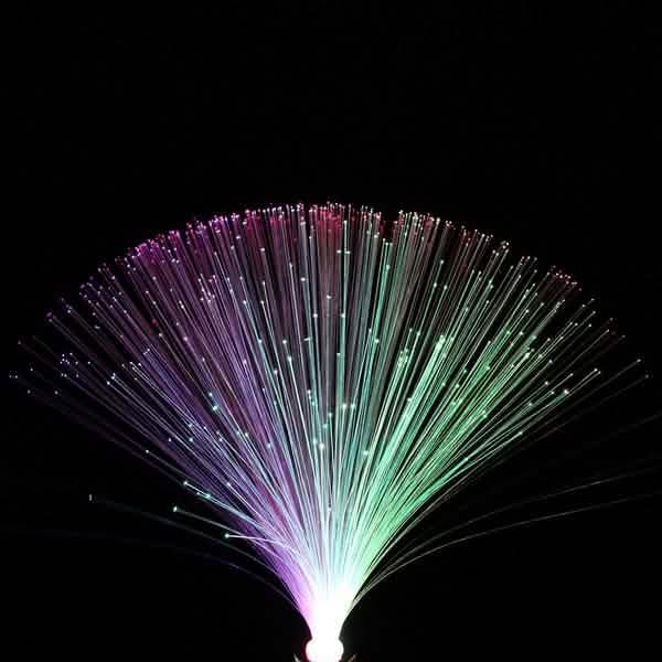 Multicolor LED Fiber Optic Lamp